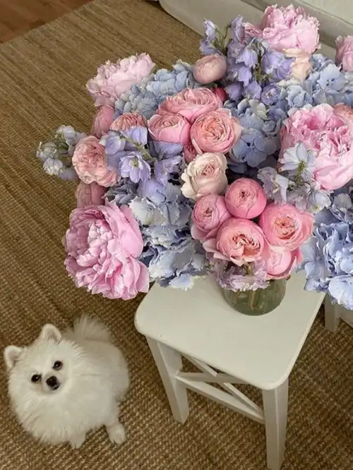 朋友圈背景你为什么不找我聊天怕我偷你表情包