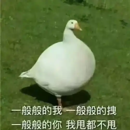 爱马仕设计杨幂代言,波司登咋还这么土