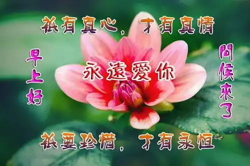 生活,没有什么大道理可言,过的就是一种心情,早上好人生