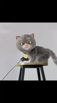 斑布猫的主页快手直播