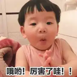 520怎么少的了表情包