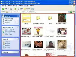 qq表情在哪个文件夹里查看qq表情在哪个文件夹里的方法