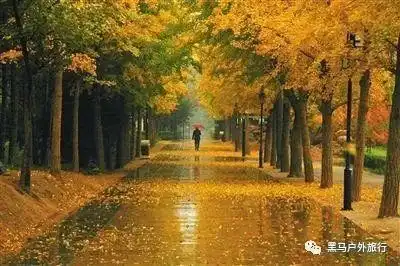 本周圆明园菊花宴红螺寺舞彩浅山还有少量余位,欢迎报名参加活动