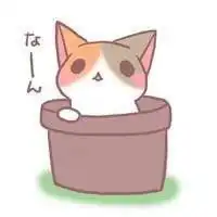 猫头像可爱呆萌微信头像图片大全