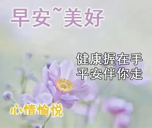 2021最新创意免打字的早上好问候动画表情包好看的冬日清晨早安问候动画表情图片