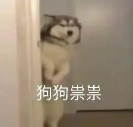 6台春晚群芳争艳唐嫣刘海翻车,张雨绮钻饰抢镜,ab像大头娃娃