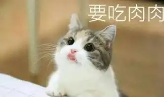 一组敲可爱的喵咪表情包
