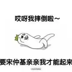 晨博社20160309这五年她本可以很美