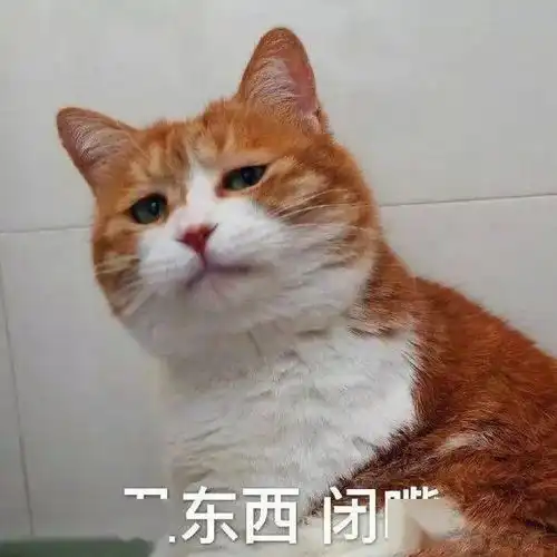 丑东西,闭嘴丨第195期喵表情