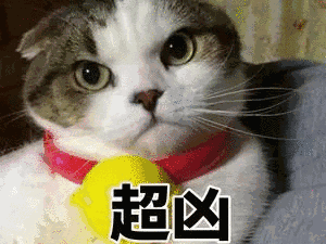 还在吃胶原蛋白别浪费钱了