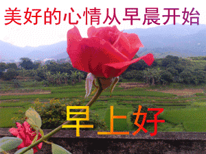 清晨早安问候语祝福话语最新早上好动态图