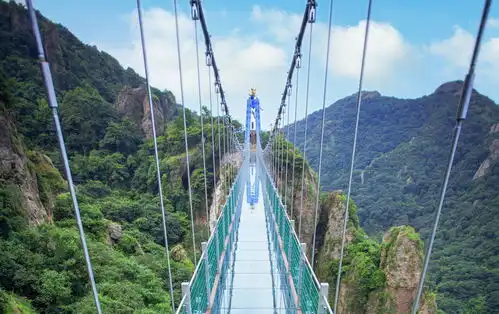 上海市民只需半价就能游玩马仁奇峰各大网红项目