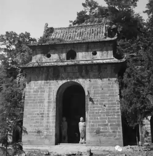 快来看看,你还能认出这是栖霞山吗