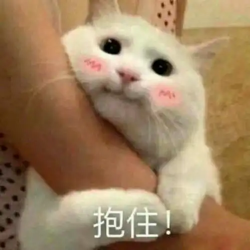 抱抱的表情包可爱的