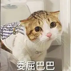 高中生觉得自己落后于同龄人太多了,该怎么补救