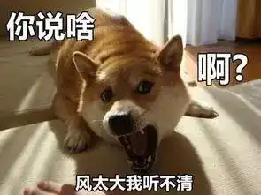 最新新台风生成预计25日登陆,萧山人的周末又要泡汤