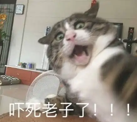 这次疫情,被一个16世纪的预言家言中了