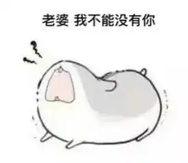 有没有跟对象聊天的表情包