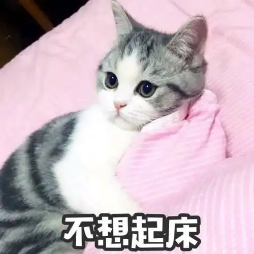 开心一刻以前有个哥们喝酒特别厉害,跟我们喝酒都狂得没边了