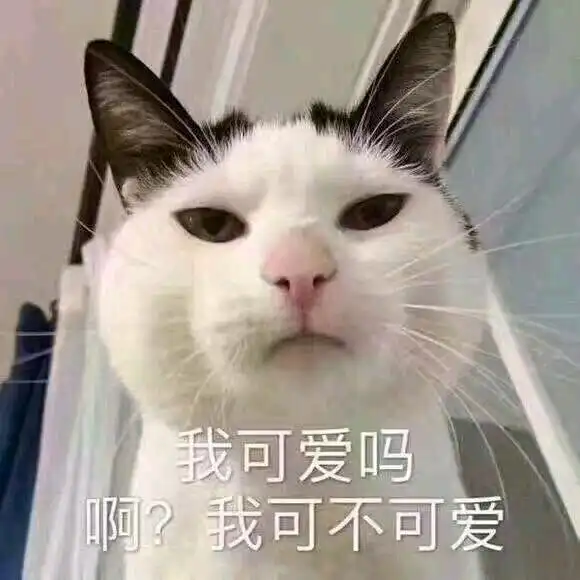 其实我觉得刘柏辛昨天最后那首歌蛮好听的