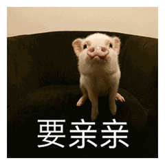 撩人专用亲亲表情
