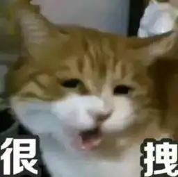 你哄我不一定有用,不哄我你就死定了