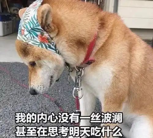每日一笑哦,看他头像是黑的,还以为他不在