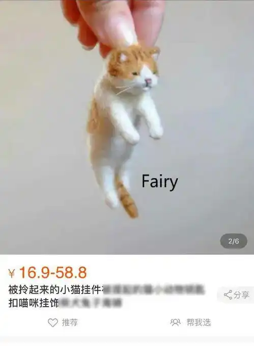 今日份快乐源泉请接收...哈哈哈...