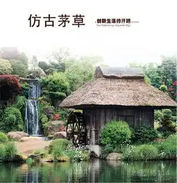 网络114