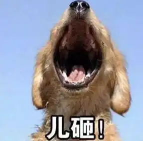 我妈,真skr人才妈妈
