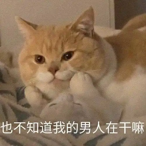 人间小苦瓜,我还要这样工作多久