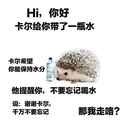 2021最新刺猬卡尔表情包大全谢谢你卡尔超级实用的文字表情合集