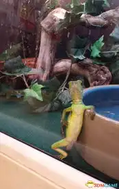 周一给力爆笑囧图赏6d双飞体验馆骚年去过没