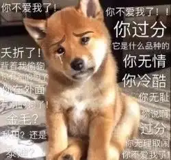 情人节,开什么房斗图呀