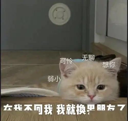 沙雕表情包洗好澡等老公