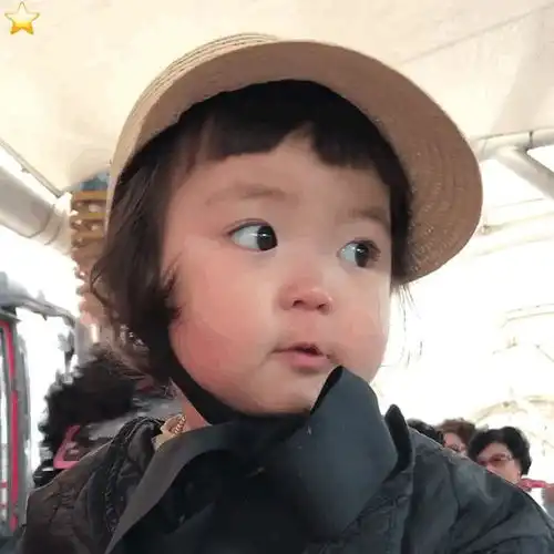 骨科什么意思
