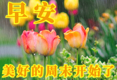 2021最新漂亮周末愉快问候祝福语表情包好看的周末快乐早上好问候祝福图片