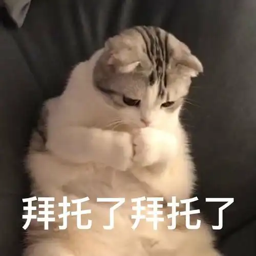 你平常聊天会用哪些求人的表情包