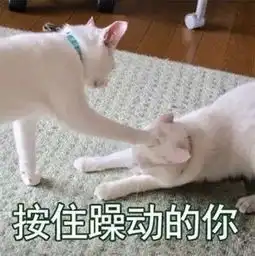 辨别致癌染发剂,集齐所有发色的安全操作