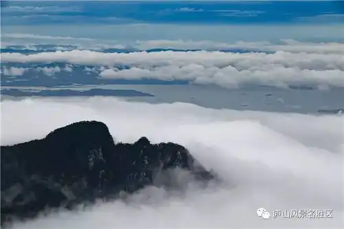 处暑后,在庐山要体验的几大乐事