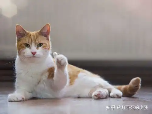 2020年养生壶推荐.告别小白,速成老司机的避坑指南
