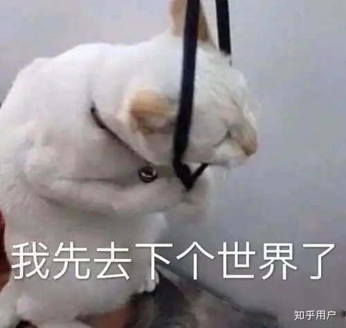 如何看待新乡医学院卫辉校区宿舍条件和学校安排问题