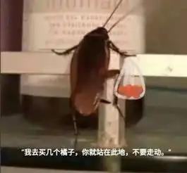 网络一线牵,珍惜这段缘,还不赶紧来冲浪