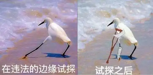 被骂上热搜的陈凯歌,当真是活该