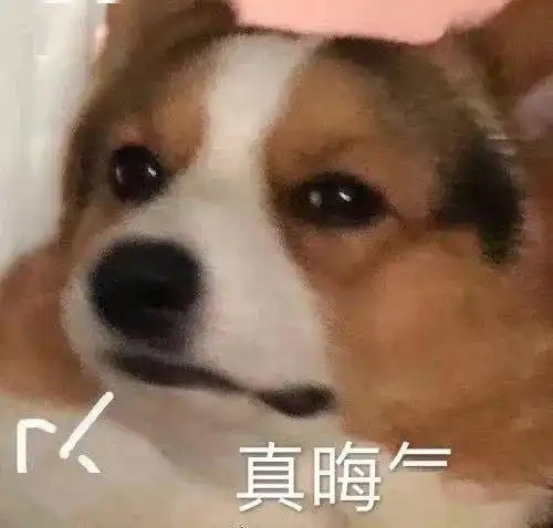 没有礼物转个2000红包也行这tm是乞丐吧
