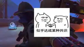 震惊我竟然把守望先锋玩成了恐怖游戏11