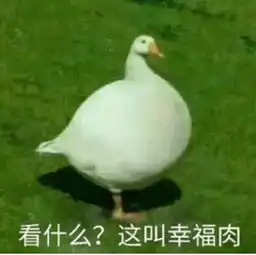一个军嫂的孕期心情纪录最孤单最坚强的十个月
