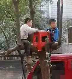 其实我只是想让他装个b而已