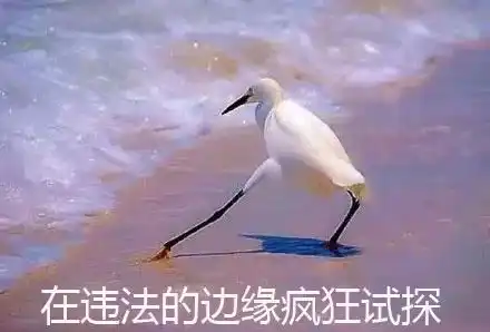 2018朋友圈最热的10个词你一定用过