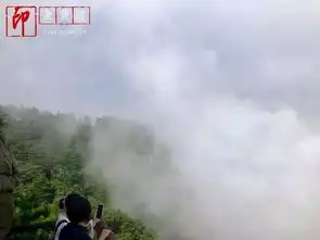 夏都庐山行,云深不知处